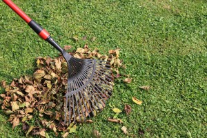 Chariots de jardin pour le ramassage de feuilles mortes